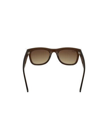 Ray Ban Wayfarer Reverse Transparent Brown RB0502S 6709CB