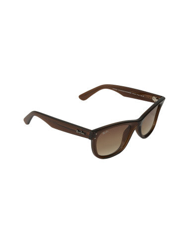 Ray Ban Wayfarer Reverse Transparent Brown RB0502S 6709CB